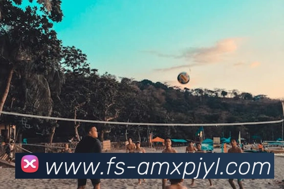 澳门新葡京娱乐服务体系